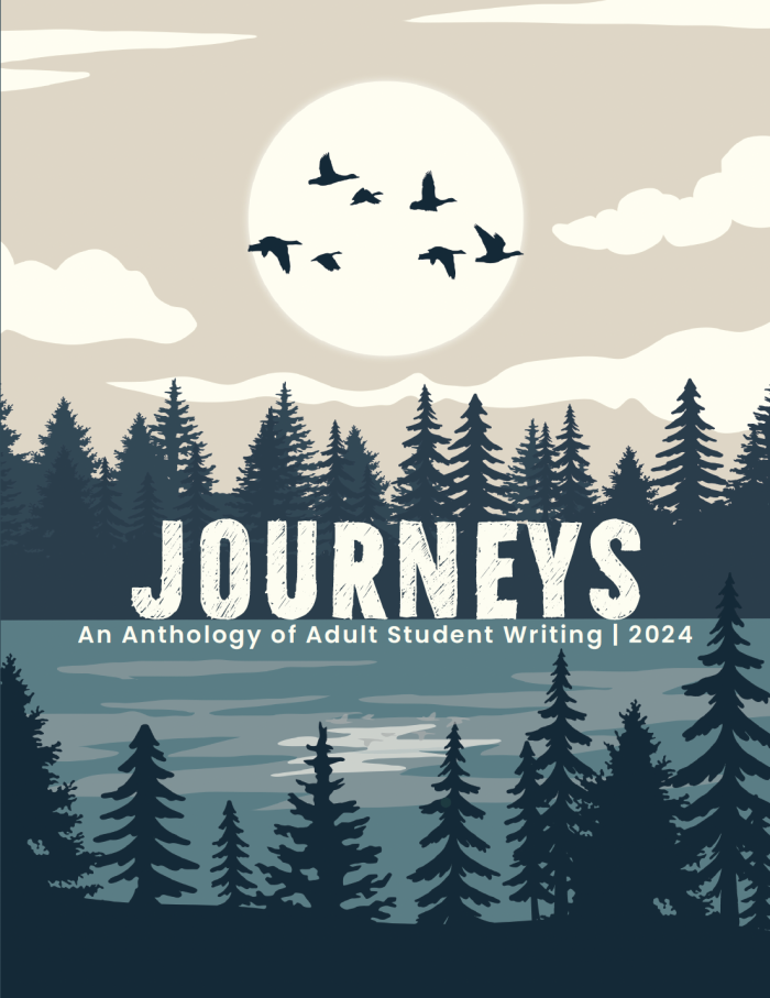 Journeys | Literacy Minnesota
